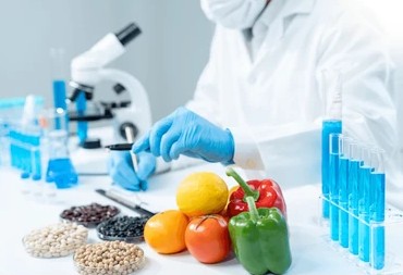 scientist check chemical food residues 260nw 2387789003